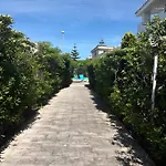 Ingrosso فيلة *