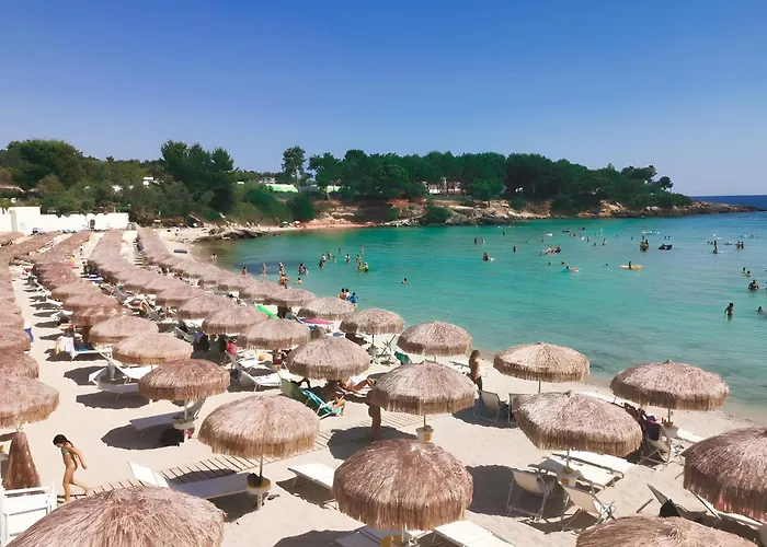 Ingrosso * Лепорано